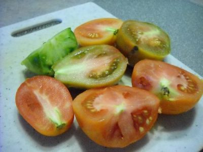 The Tomatoes Finally Arrive! Image